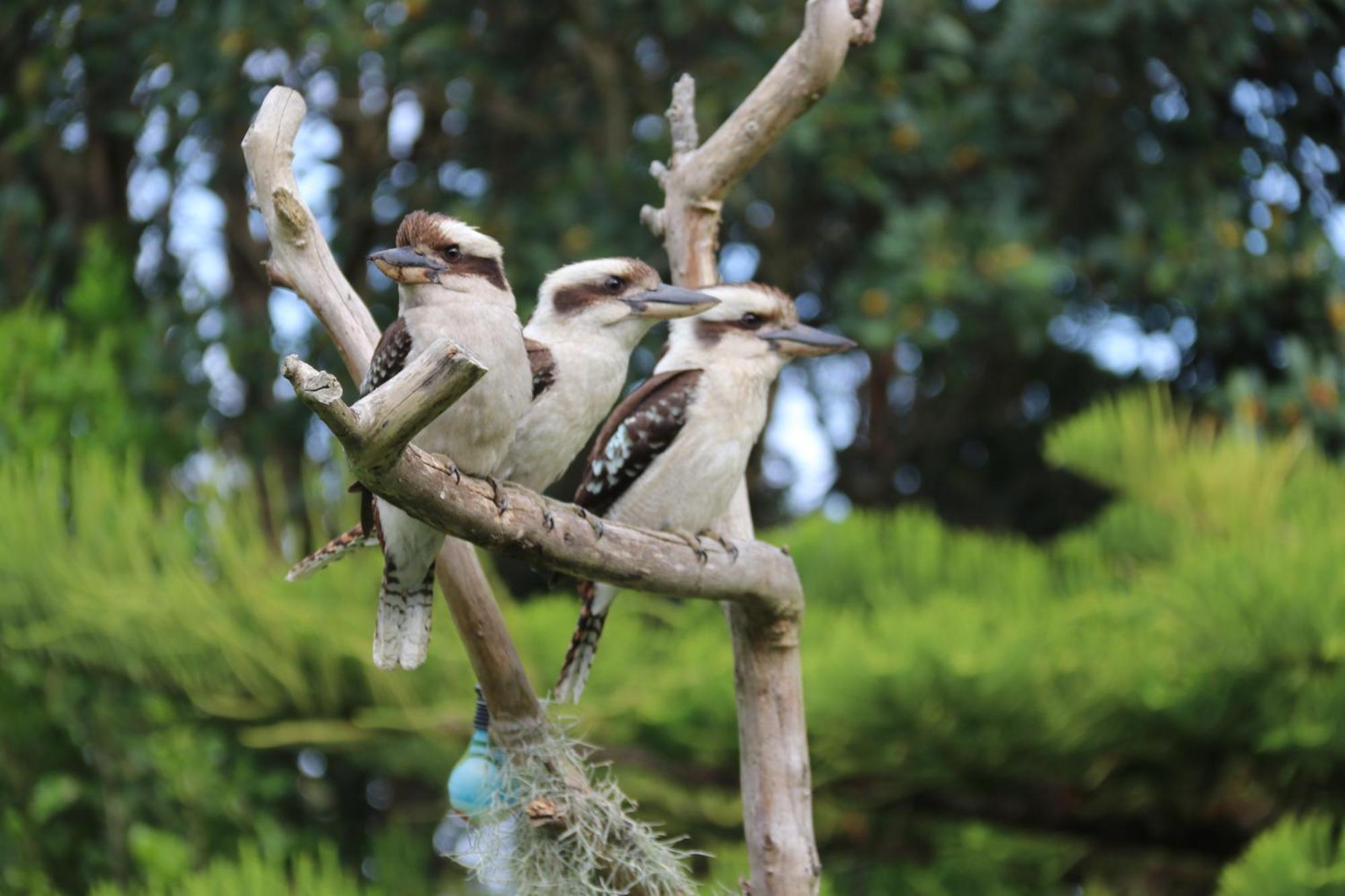 Salamander Bay Bed&Breakfast Bagian luar foto