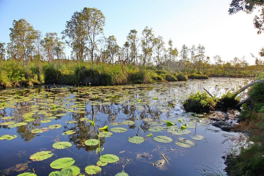 Salamander Bay Bed&Breakfast Bagian luar foto